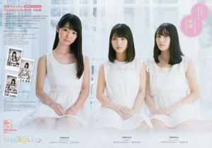 Nogizaka46 Mizuki Yamashita Momoko Ozono Shiori Kubo Tamami Sakaguchi Yuki Yoda Hazuki Mukai [Young Animal] 2016 No.24 照片