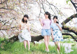 Rina Asakawa Marina Nagasawa TrySail [Junges Tier] 2016 Nr.11 Foto Mori