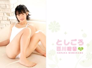 Haruka Momokawa << Toshigoro >>