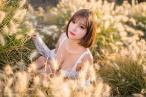 Nữ thần sắc đẹp ngọt ngào @ 杨 晨 晨 sugar "Sexy Outdoor Photo" [Hideto XiuRen] SỐ 847