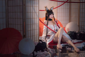 [Cosplay-Foto] Anime-Bloggerin Teppanyaki Ghost Dance w - Akagi